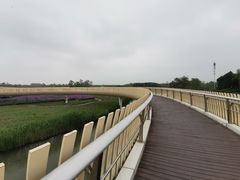 -江苏三台山国家森林公园