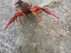 -皖西大裂谷
