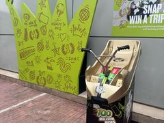 -圣淘沙天际线斜坡滑车