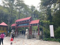 -原山国家森林公园