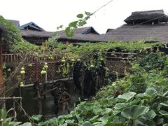-老字号农家宴
