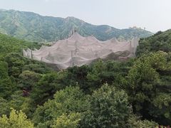 -燕塞湖鸟语林景区