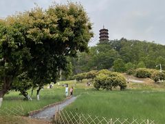 -红花山公园