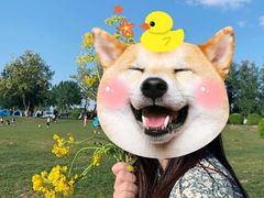 -天津武清北运河郊野公园房车露营地