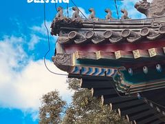-颐和园