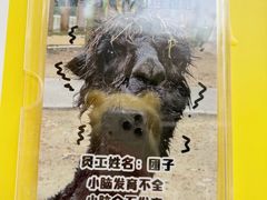 -成都欢乐谷