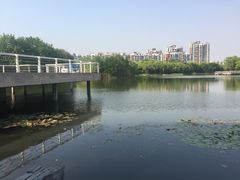 -新江湾城公园