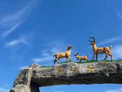 -野鸭湖国家湿地公园