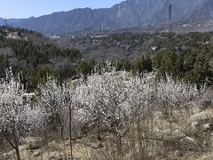 -白水寺森林公园