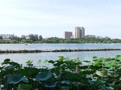 -济南大明湖景区