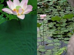 -烈士陵园(地铁站)