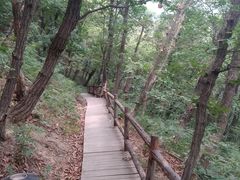 -北京上方山国家森林公园