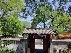 -高尔山公园