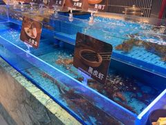 -海底捞火锅(长宁路龙之梦店)