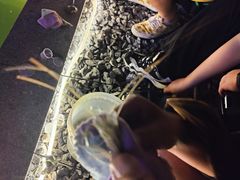 -DGE季风钓虾营地·团建·聚会