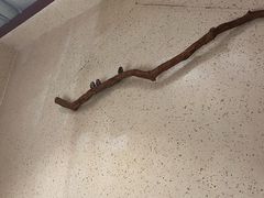 -御海棠老菜馆(福明嘉园店)