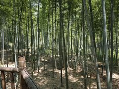 -陶祖圣境风景区