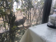 -禅猫日本料理