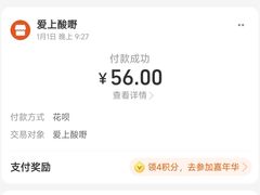 账单-爱上酸嘢