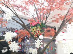 -艾薯夫妇Aysh(福田星河COCOPark店)