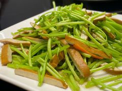 -南京金牛湖巨碗鱼头