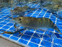 -皮记海鲜1995(寮步店)