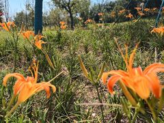 -南京金牛湖风景区