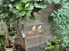-上海大自然野生昆虫馆