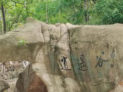 -石老人观光园