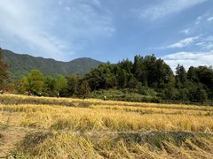 -塔川景区