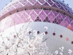 -东方明珠广播电视塔