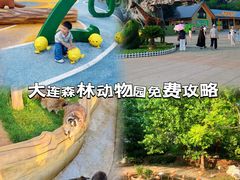 -大连森林动物园