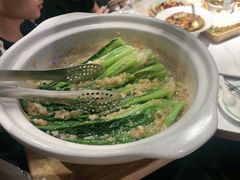 -三强鸽子(中原路店)