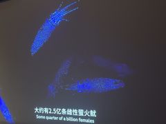 -亦境芳香·SPA影院足道(梅林店)