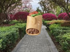 -成都南湖公园