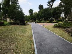 -九科绿洲
