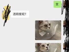 -北京观赏动物医院·24小时大型综合·猫专科·异宠专科
