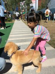 -萌宠亲子动物乐园(槐房万达店)