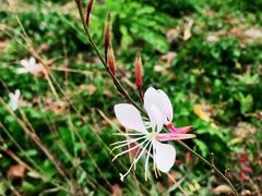 -上海浦江郊野公园-2号停车场