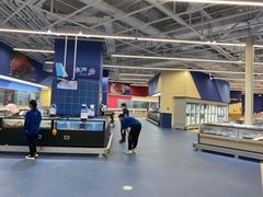 -盒马X会员店(王府井奥莱UP TOWN店)