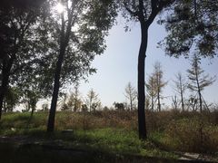 -汉长安城未央宫国家考古遗址公园