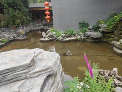 -白家大院·王府宫廷菜(苏州街店)