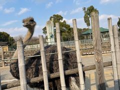 -常州淹城野生动物世界
