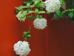 -大龙山(地铁站)