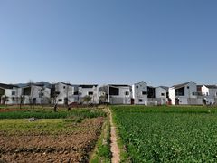 -东梓关景区村庄