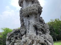 -烟台自然博物馆