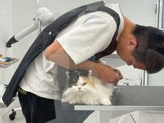 -comecome来吧宠物(奥克斯中心店)