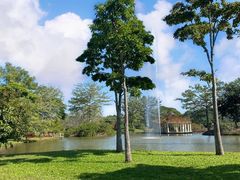 -中国科学院西双版纳热带植物园