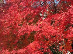 -浙江农林大学(东湖校区)