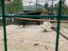 -宁波九龙湖开元度假村
